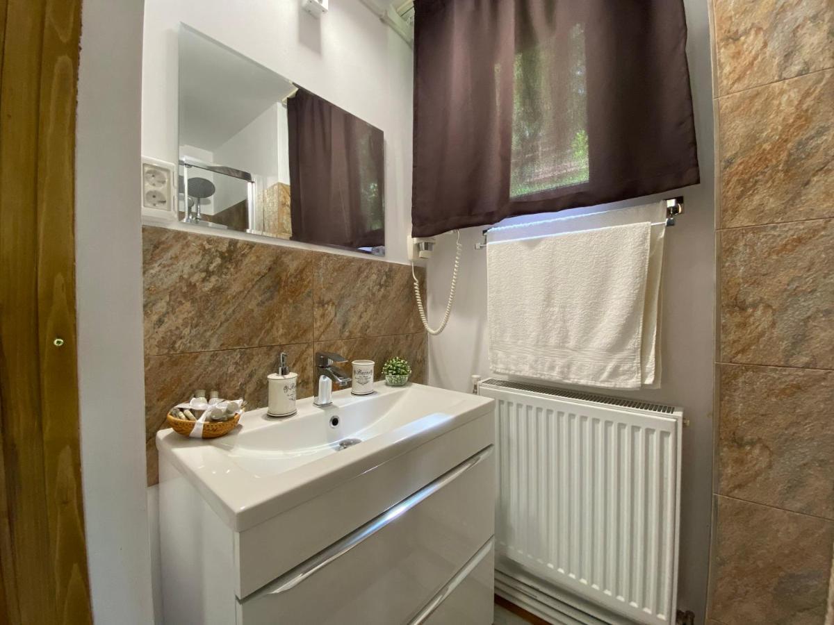Skay Loft Frühstückspension Brașov