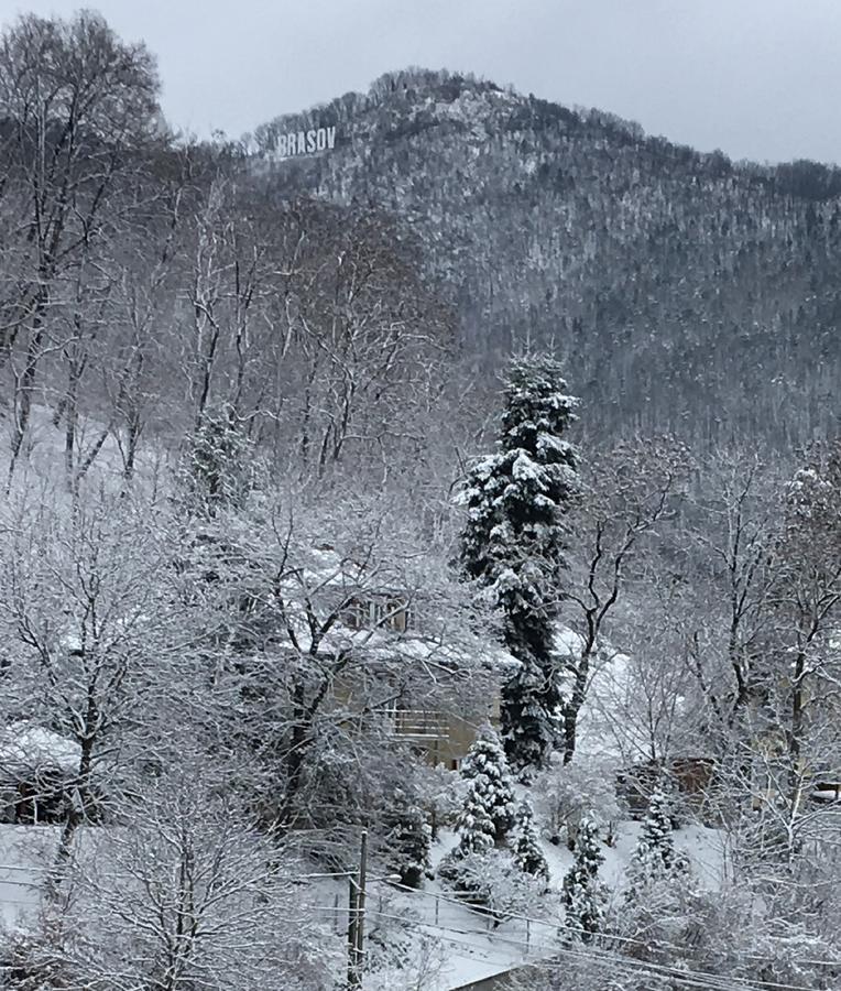 Skay Loft Bed & Breakfast Brasov