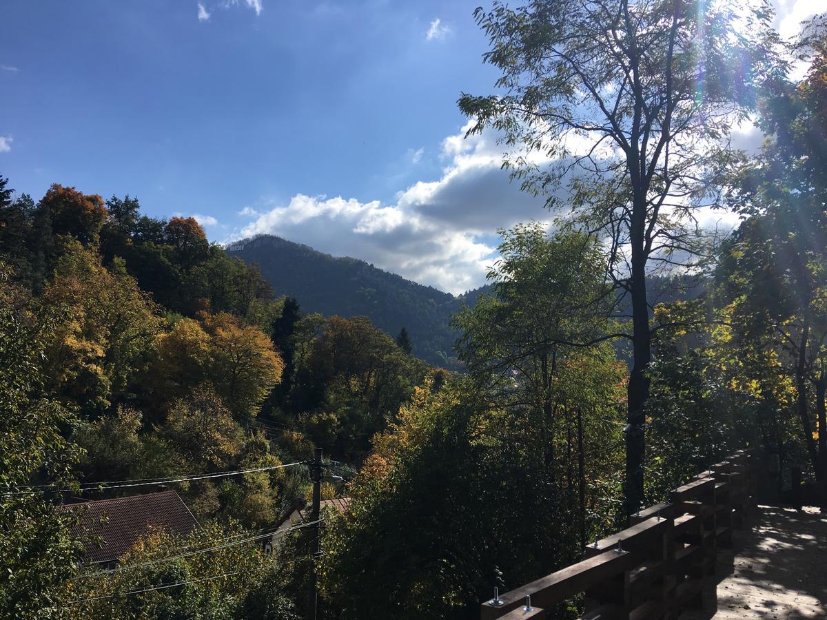 Skay Loft * Brașov