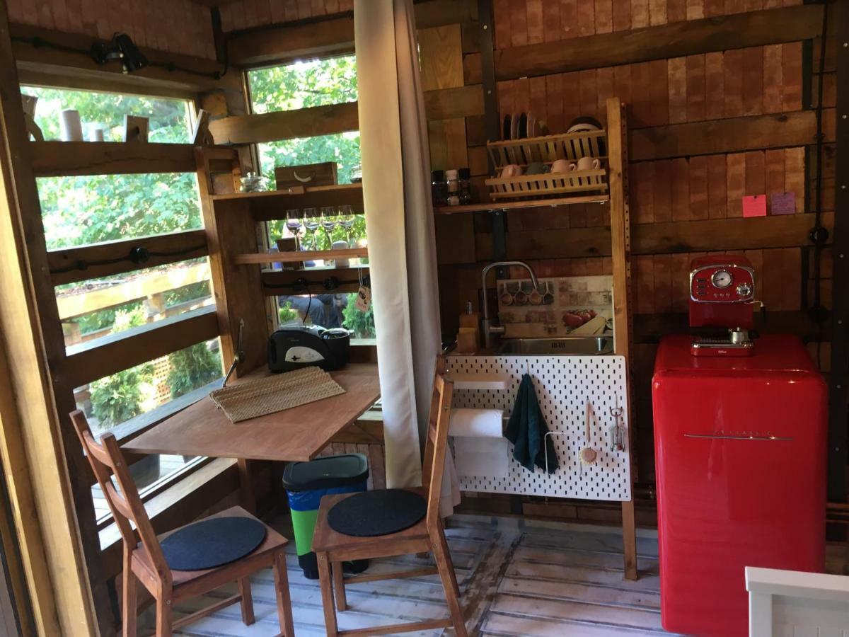 Frühstückspension Skay Loft Brașov