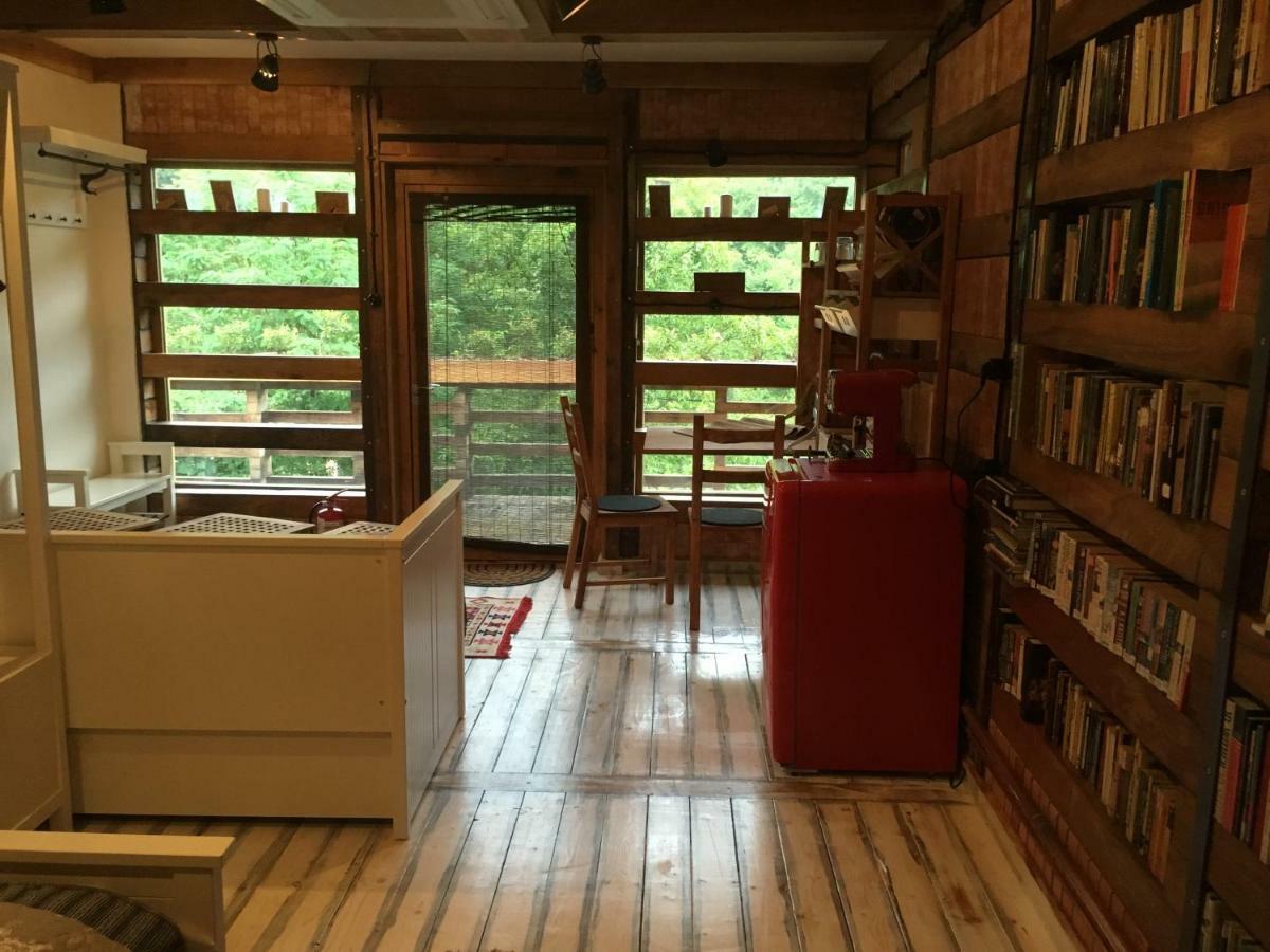 Skay Loft Frühstückspension Brașov