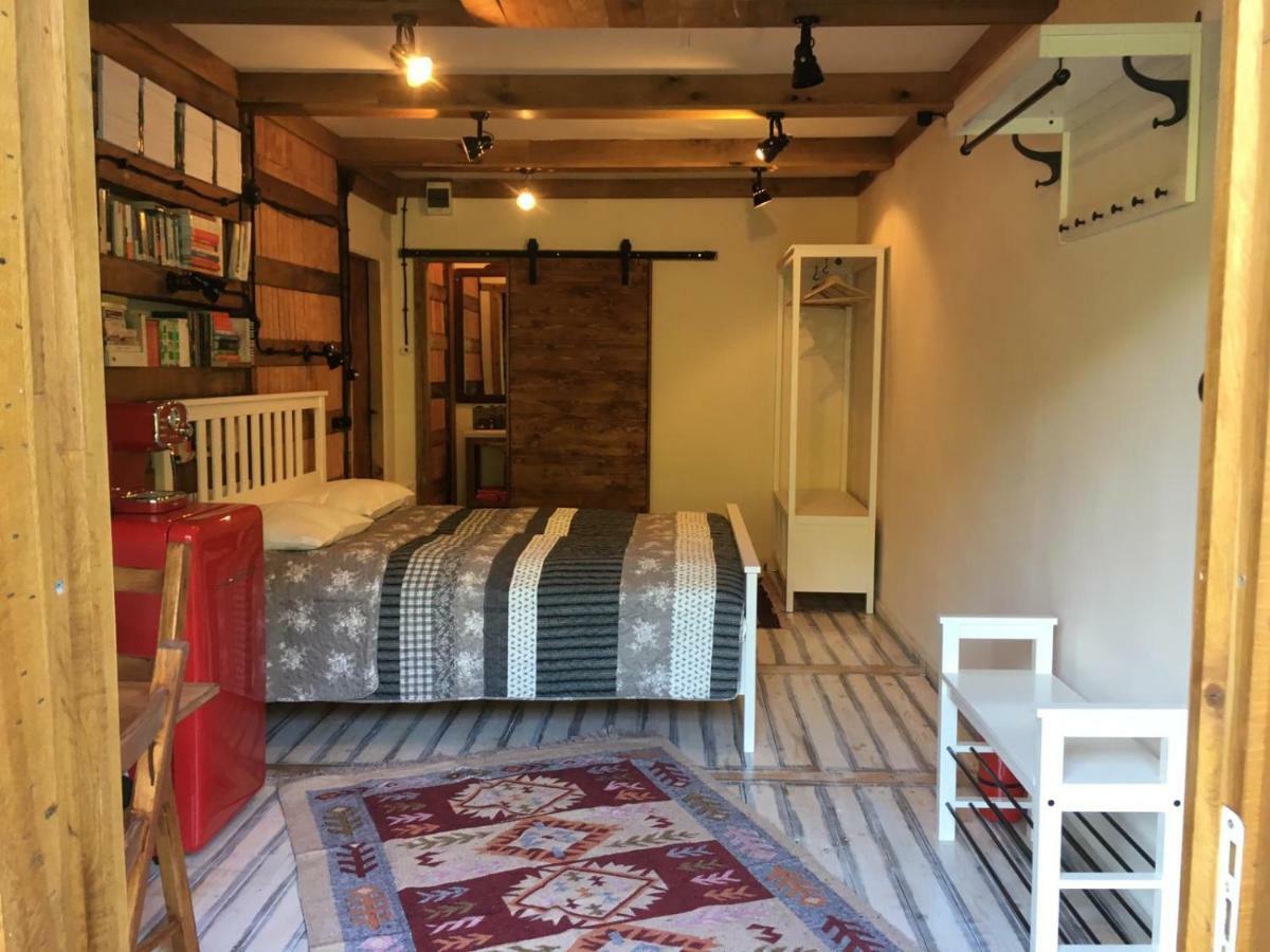 Skay Loft * Brasov